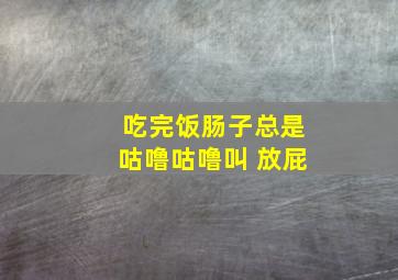 吃完饭肠子总是咕噜咕噜叫 放屁